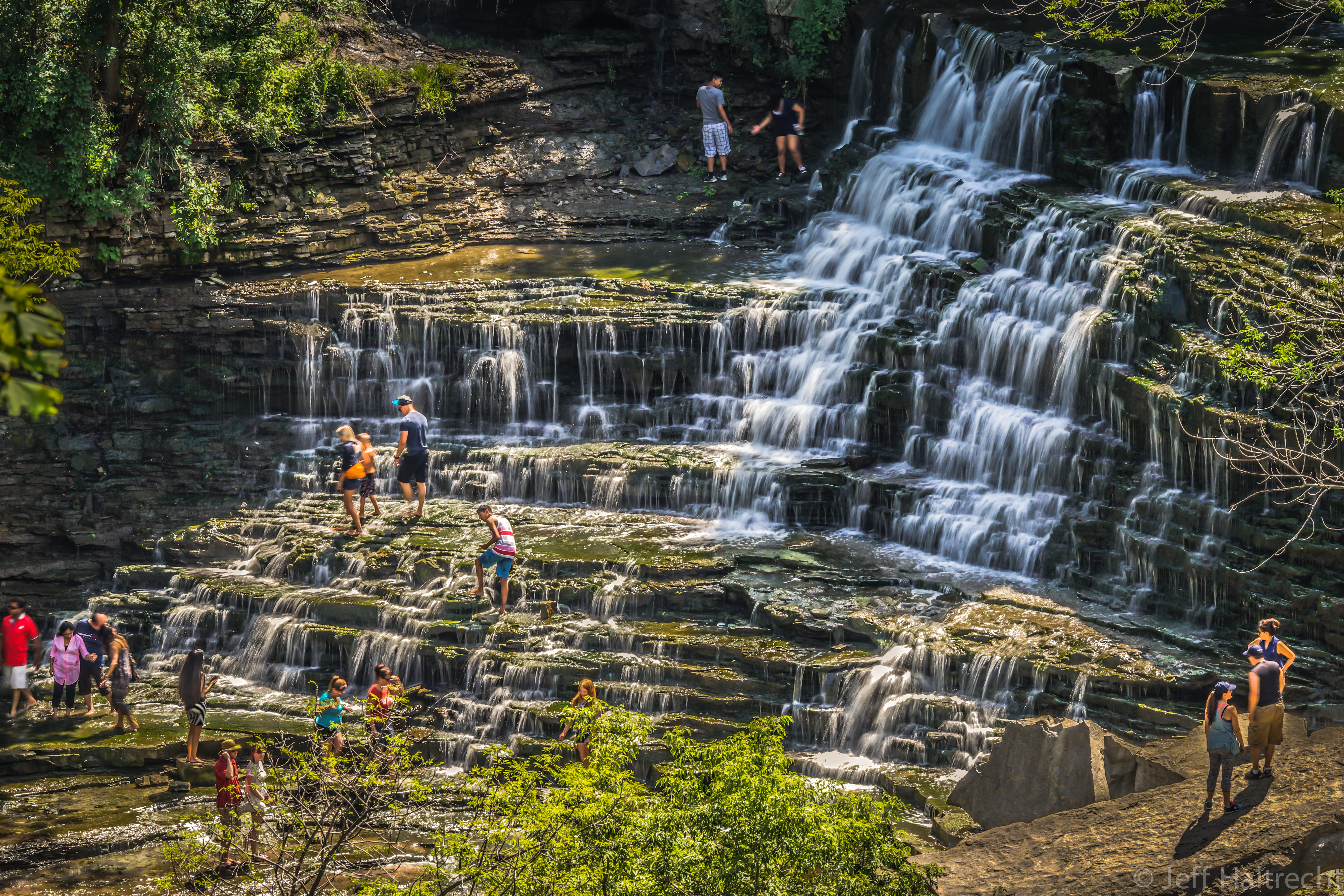 waterfalls albion falls
