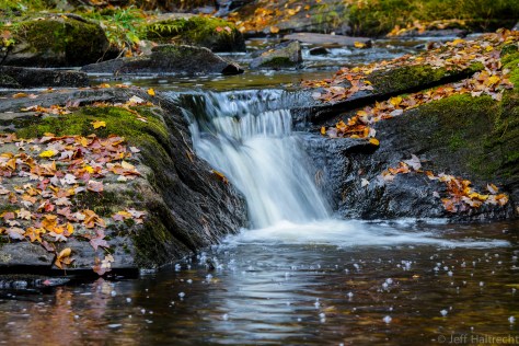 colorful fall leaves by mini waterfall