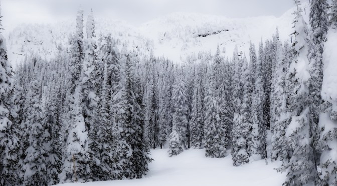 The Vast Alpine Terrain of Big White Mountain, British Columbia