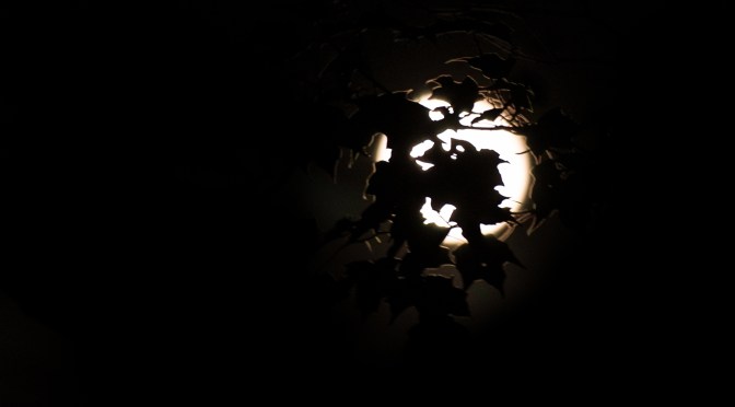 Haunted Halloween Harvest Moon