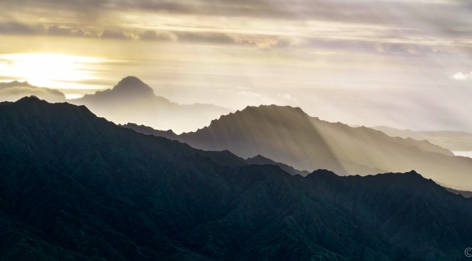 Lihue-Koloa Forest Reserve, Kauai, Hawaii