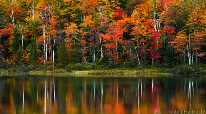 Change In Colors, Thanksgiving weekend, Echo Lake