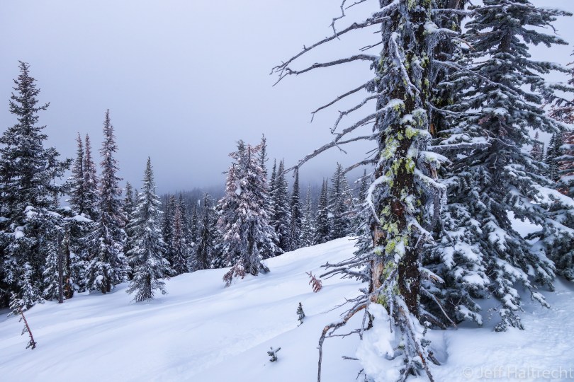 corkscrew glades at big white ski resort