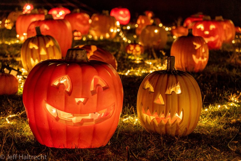 halloween pumpkins illumi light show