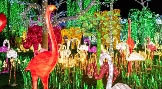 Wild jungle animals in a rain forest at the Illumi light show